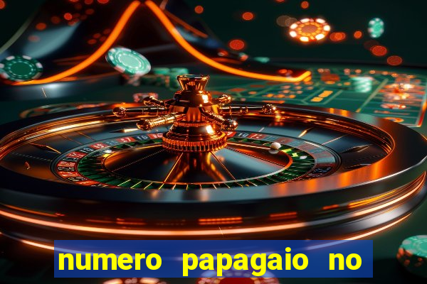 numero papagaio no jogo do bicho